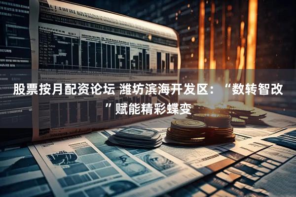 股票按月配资论坛 潍坊滨海开发区：“数转智改”赋能精彩蝶变