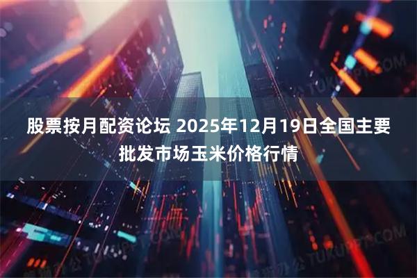 股票按月配资论坛 2025年12月19日全国主要批发市场玉米价格行情